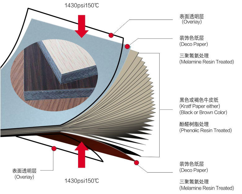 抗倍特板构成图.jpg